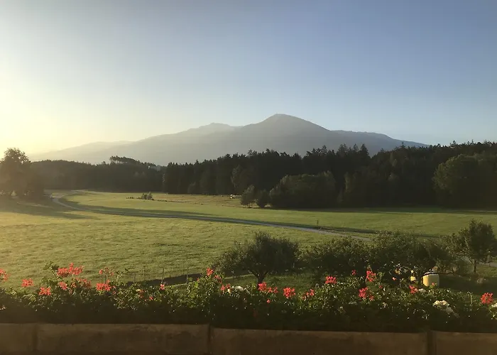 Eichhof 酒店 纳特斯